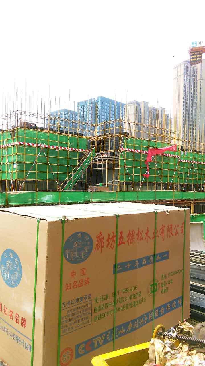 “大阳城游戏牌”建筑模板走进武汉绿地中心项目